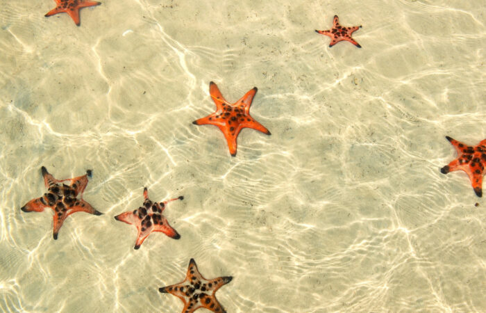 Things to do in Phu Quoc
