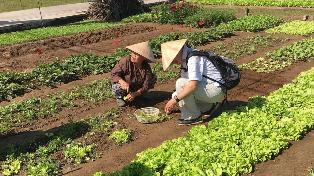 Tra Que Vegetable village