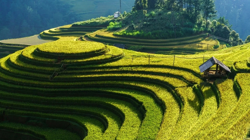 Mu Cang Chai colline Mam Xoi