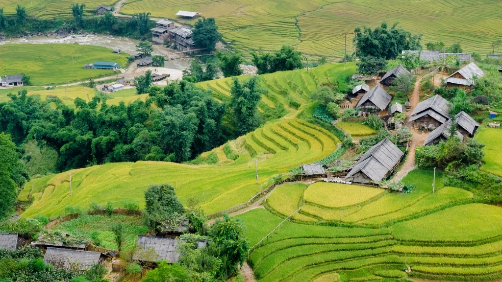 Muong Hoa Valley Sapa landscape