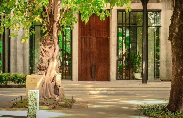 Treeline urban hotel