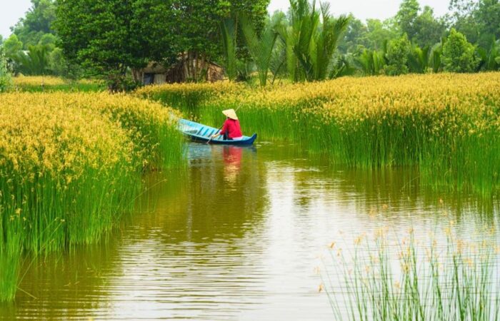 Things to do in Mekong Delta