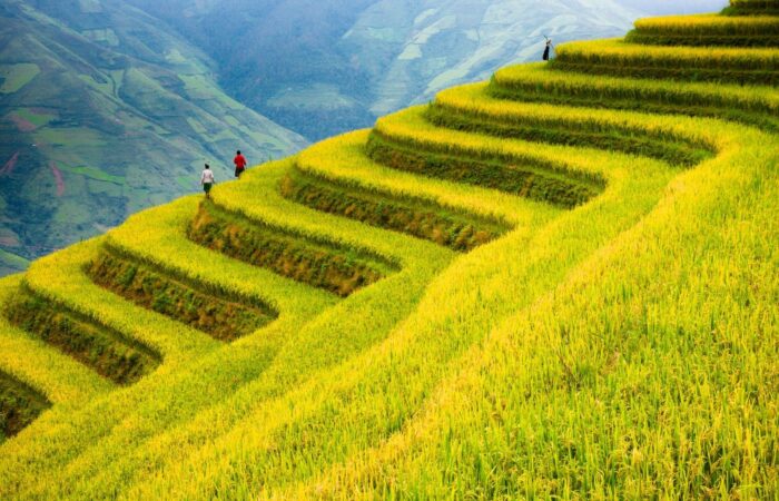 Voyage Au Vietnam En 2026: Les Raisons Pour Un Voyage M&eacute;morable