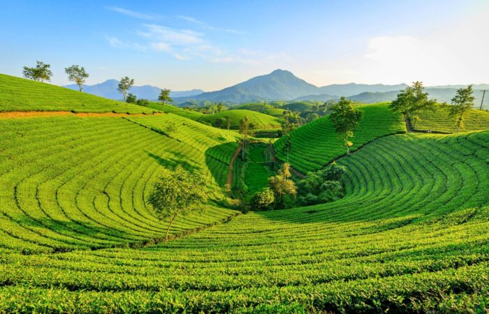 Voyage Au Nord Du Vietnam
