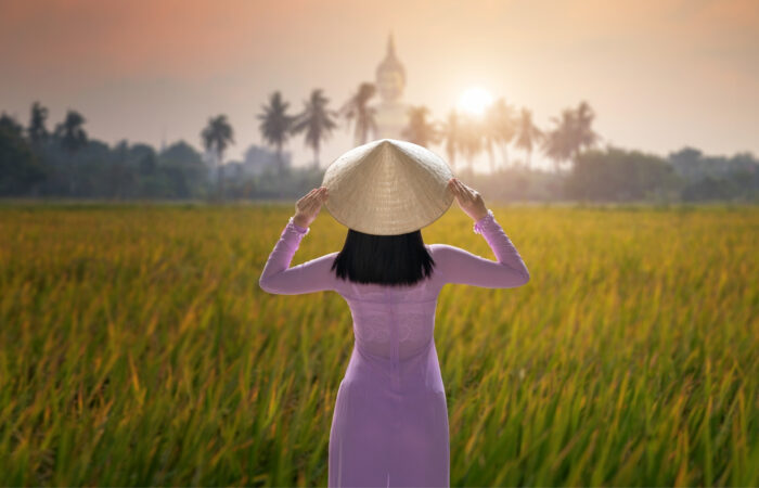 Symboles du Vietnam