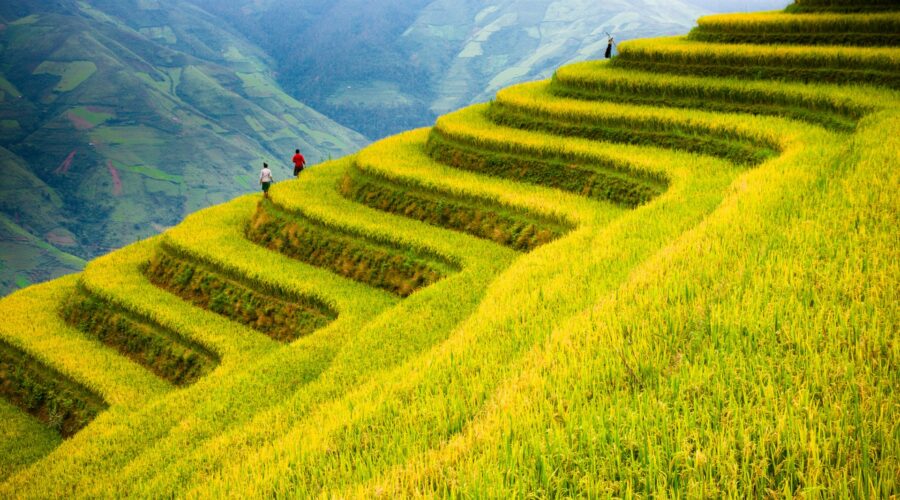 Things to do in Mu Cang Chai