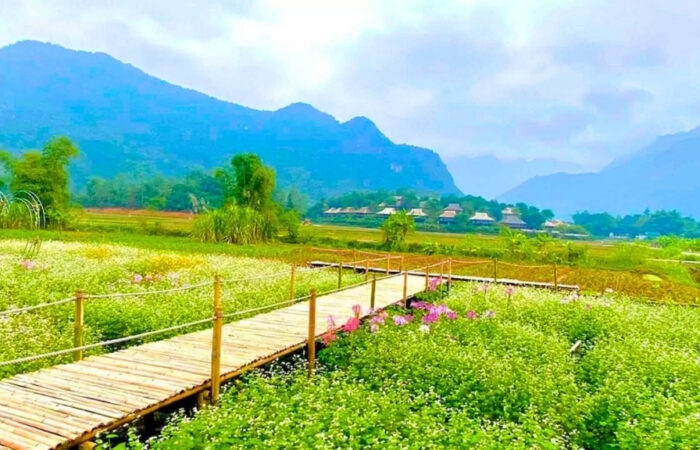 Northern Vietnam : Thung Khe, Mai Chau