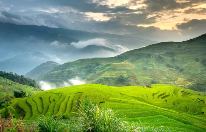 The terraced rice fields in Mu Cang Chai
