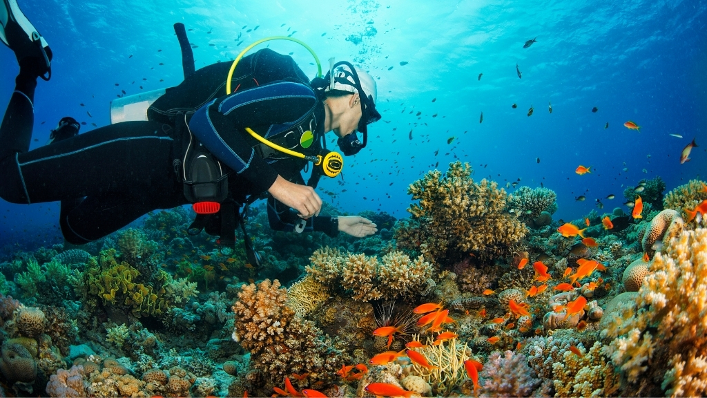 Diving in Phu Quoc