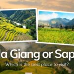 Ha Giang or Sapa: Which is the best place to visit?