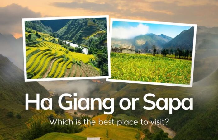 Ha Giang or Sapa: Which is the best place to visit?