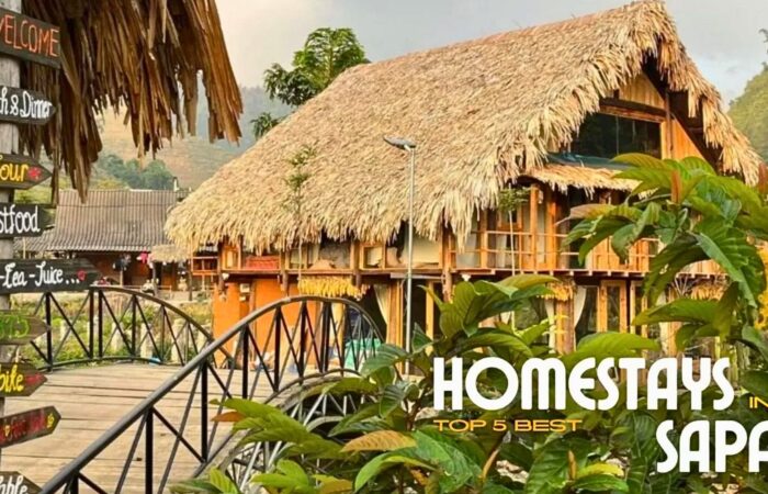 Top 5 Best Homestays In Sapa Not Be Missed