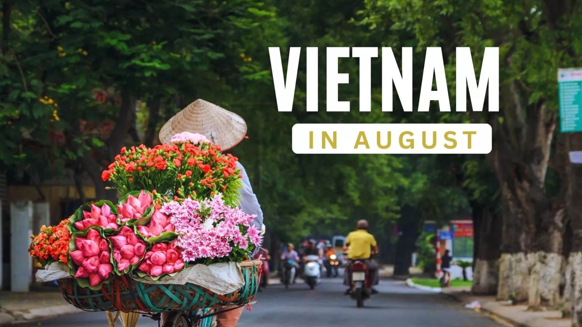 Vietnam in August: Weather and top things to do