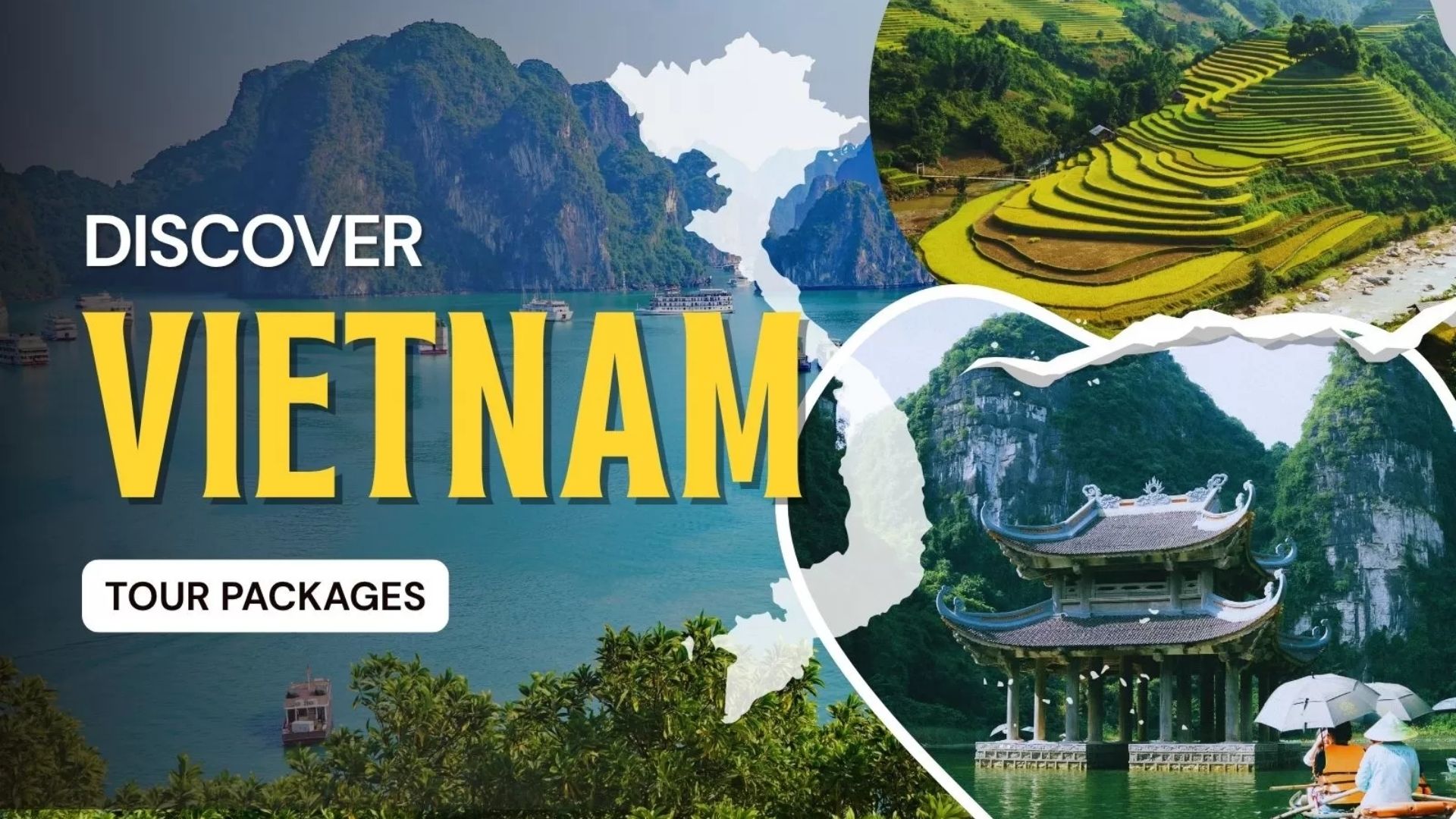 Discover Vietnam tour packages: What to expect