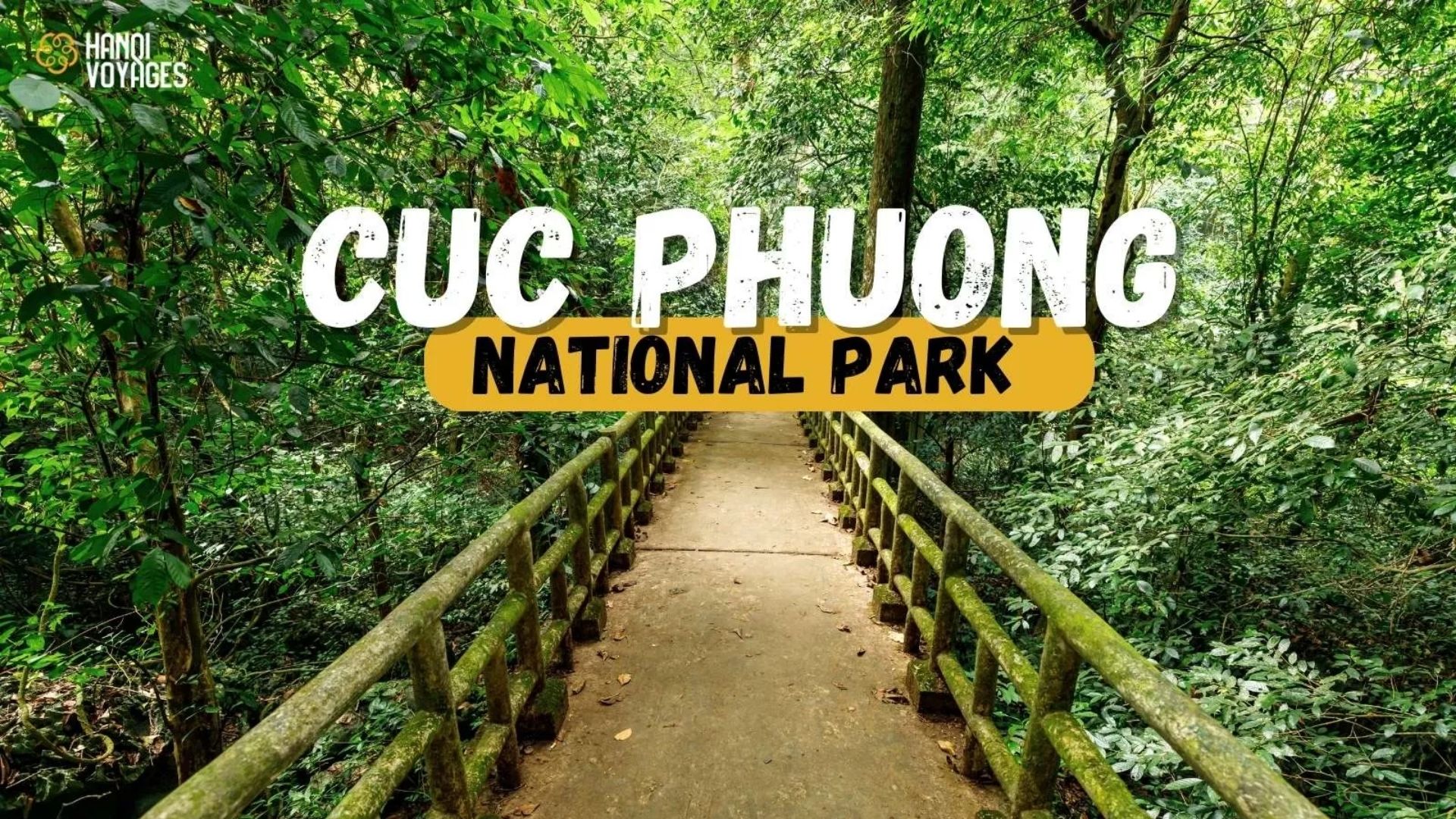 Guide to visiting Cuc Phuong national park