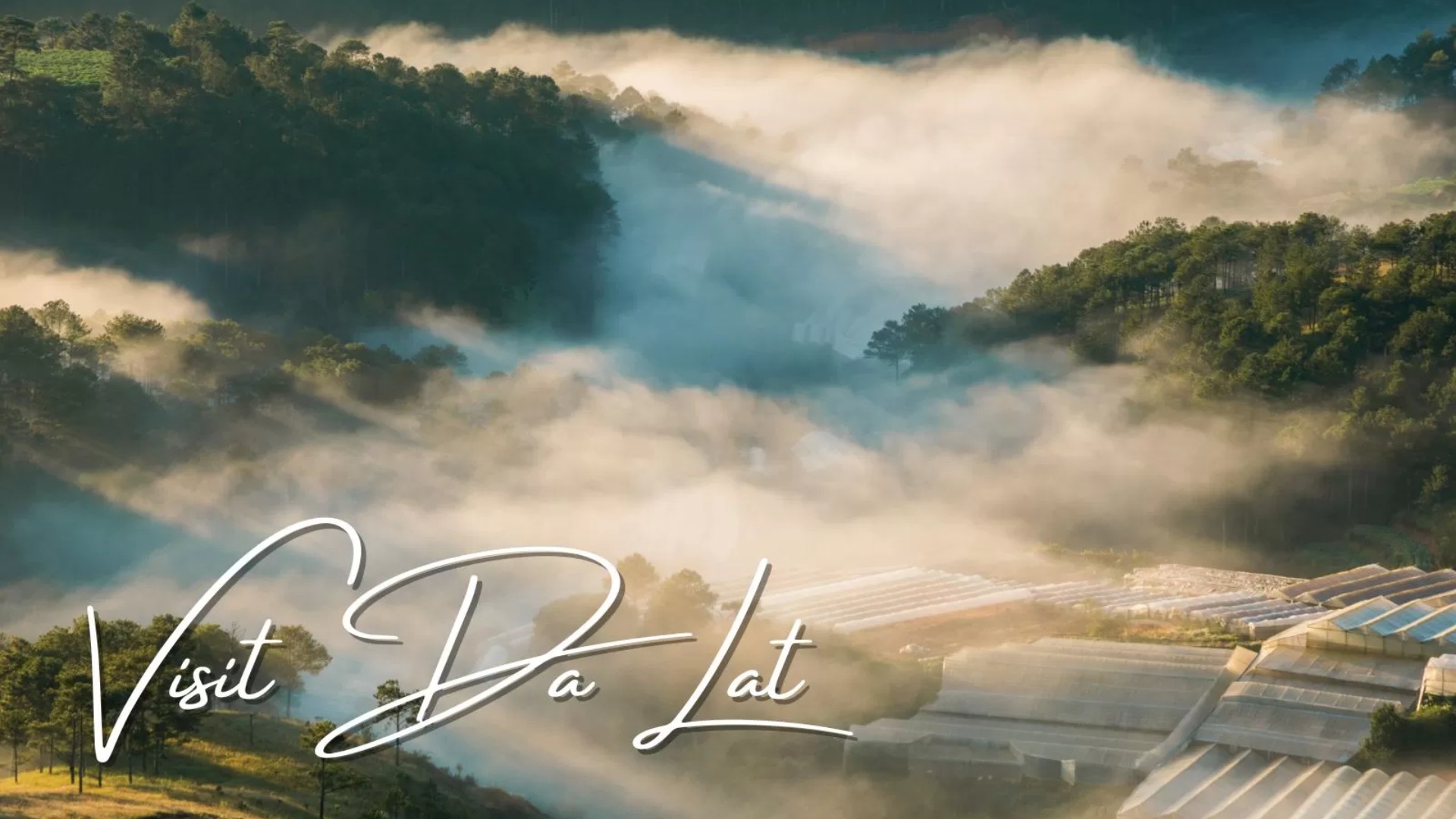 Visit Da Lat: Explore the best of nature and adventure