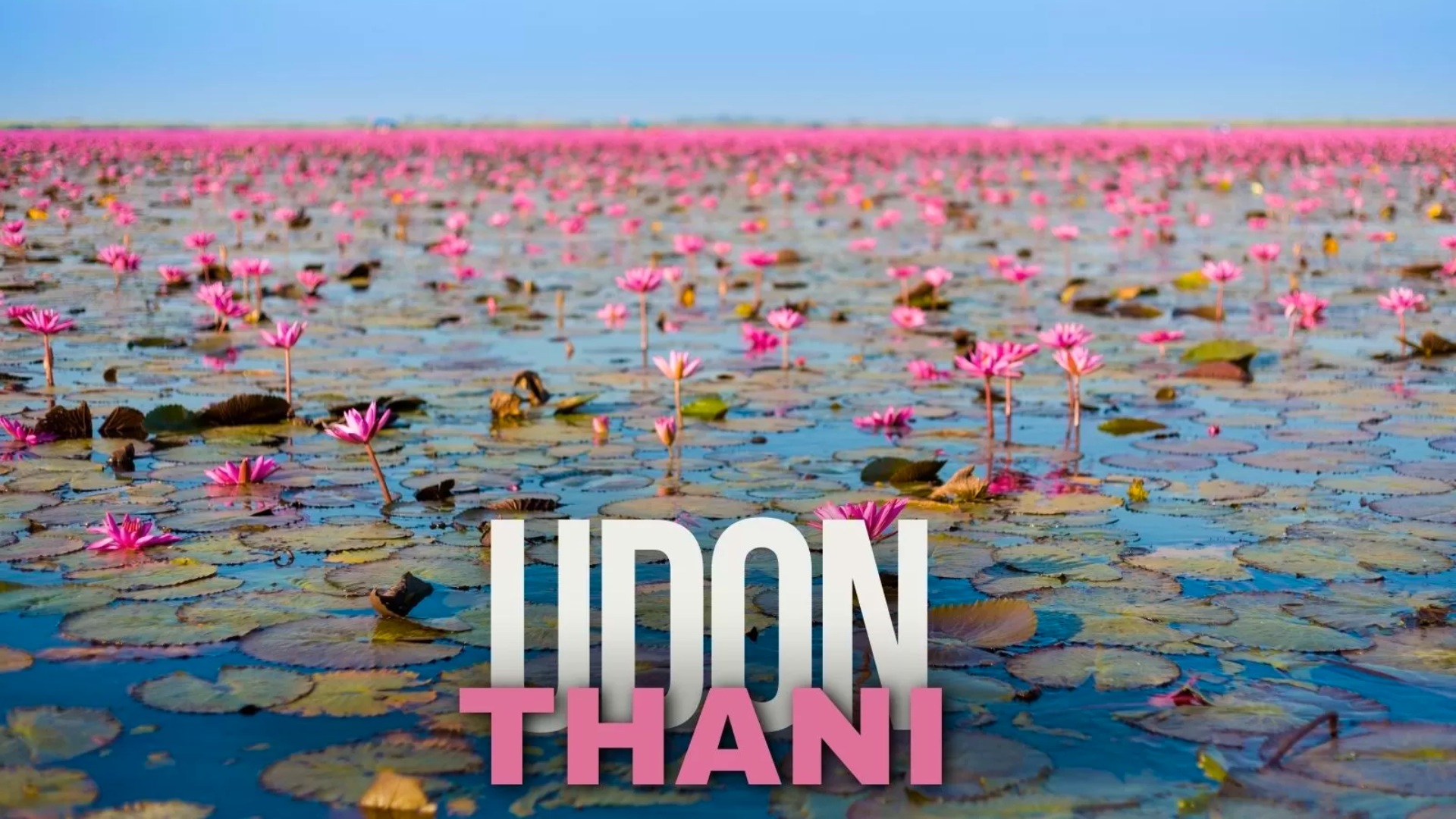Visit Udon Thani: Top 7 fascinating things to do & see