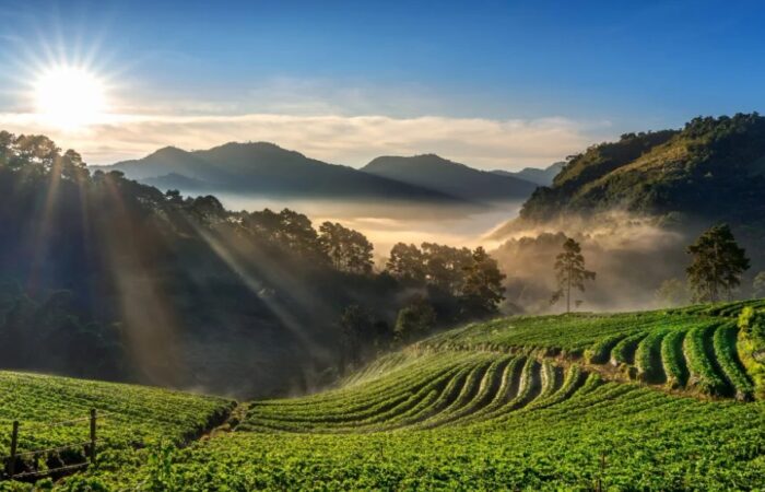 Mount Doi Ang Khang