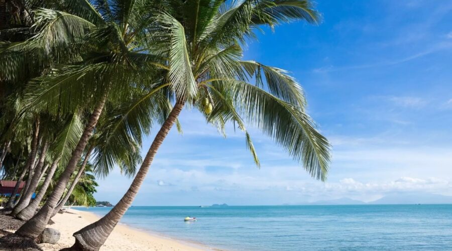 Maenam Beach Koh Samui 3 days itinerary : Maenam Beach