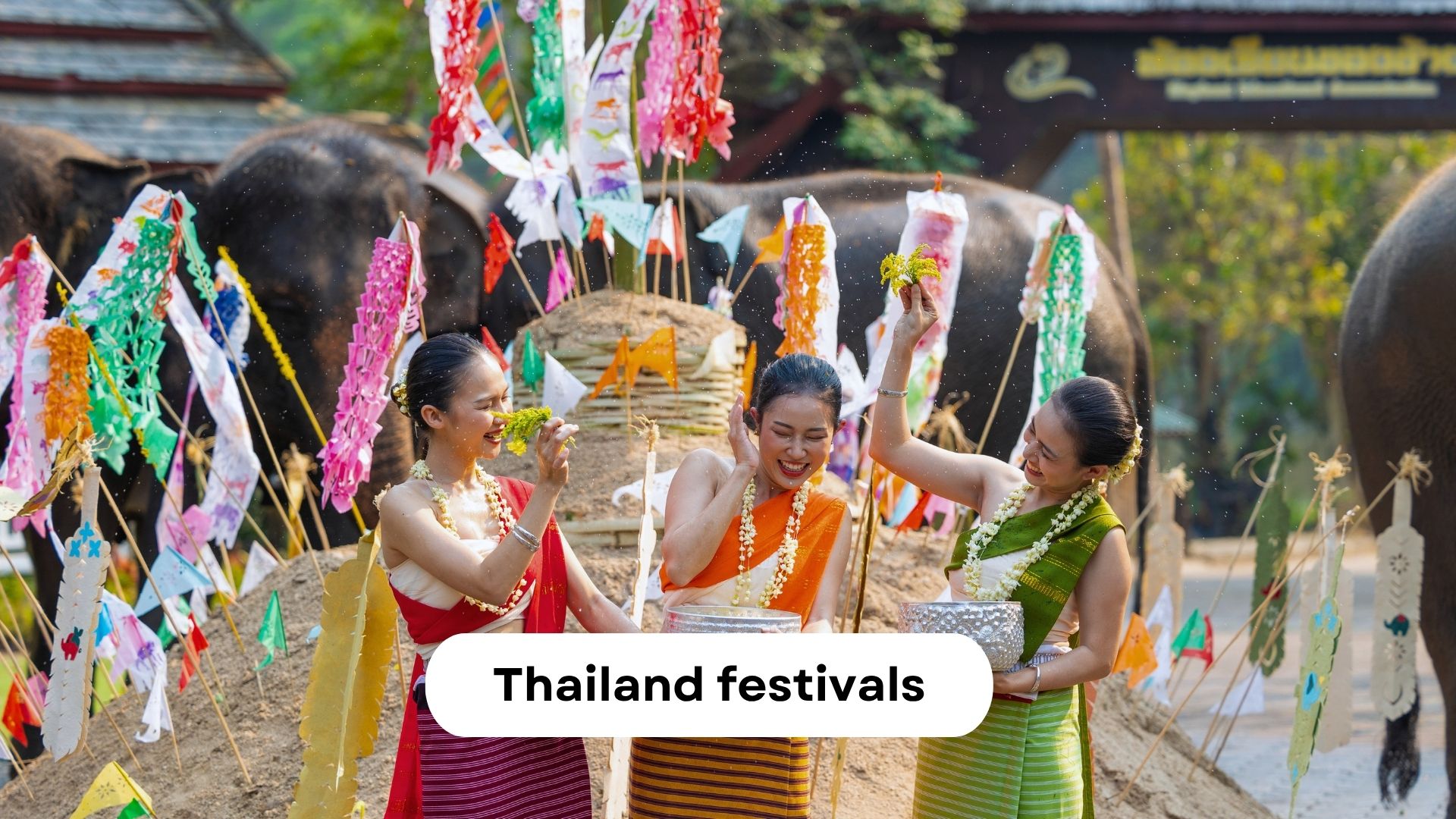 Top 7 Thailand festivals you must experience for a vibrant trip