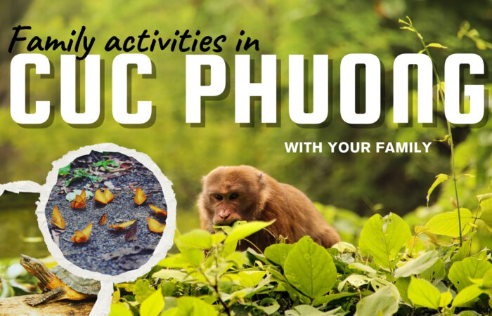 Cuc Phuong national park with families