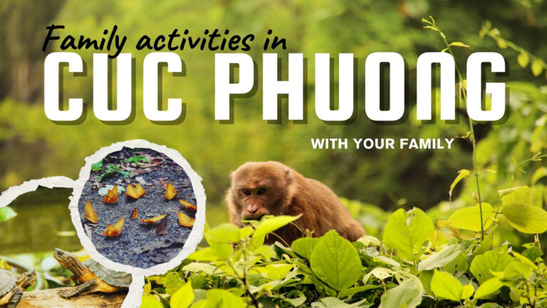 Cuc Phuong national park with families