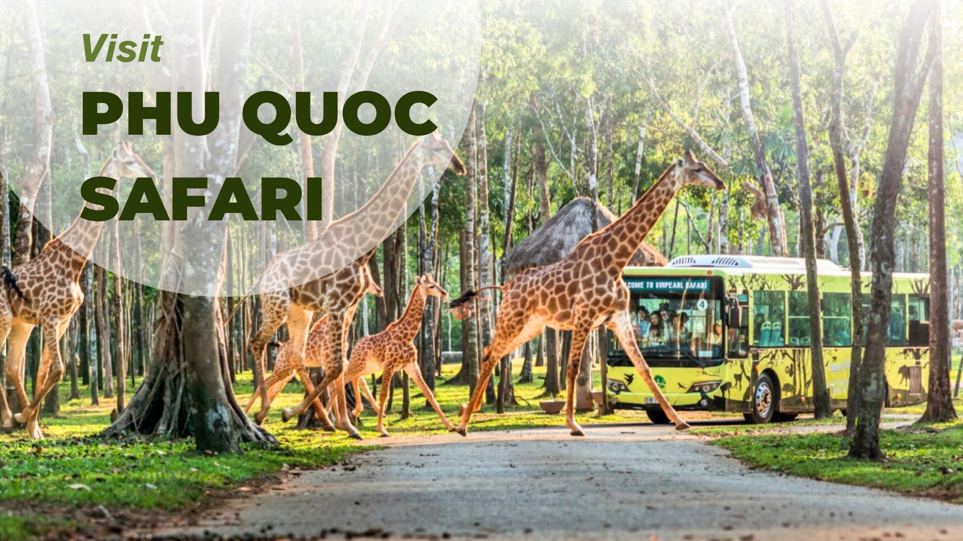 Visit the Phu Quoc Safari: A unique family experience