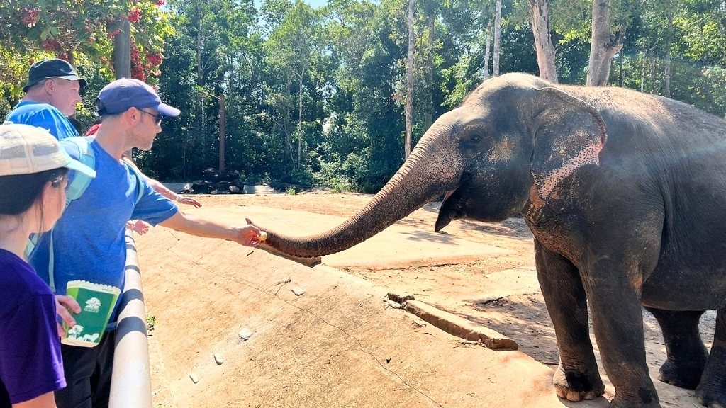 Open Zoo in Phu Quoc Safari