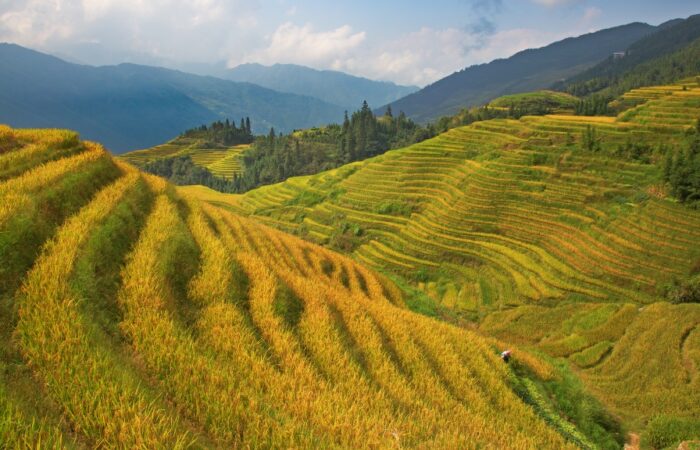 Things to do in Sapa