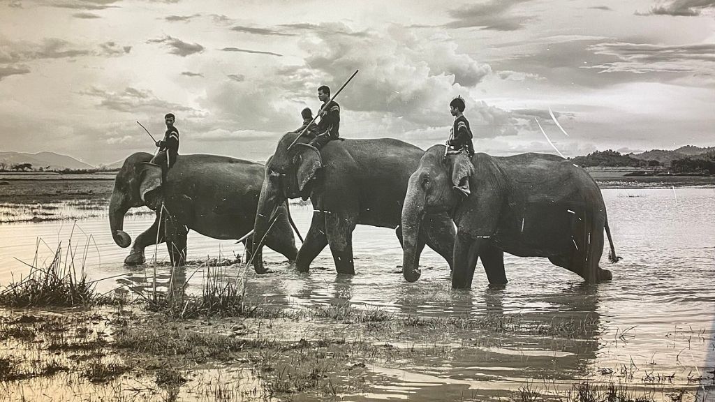 Cultural life of local people in Vietnam&rsquo;s Central Highlands region