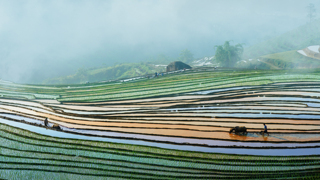 Mirror-like rice terraces during water season in northern Vietnam