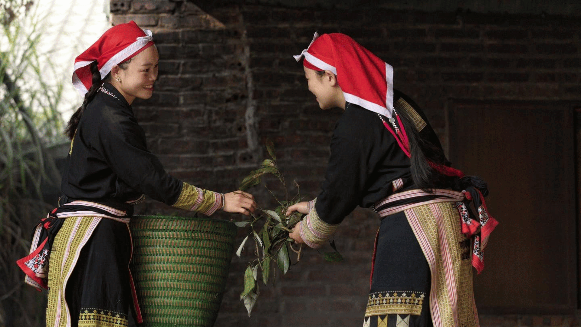 Red Dao herbal baths in Sapa: The complete local guide