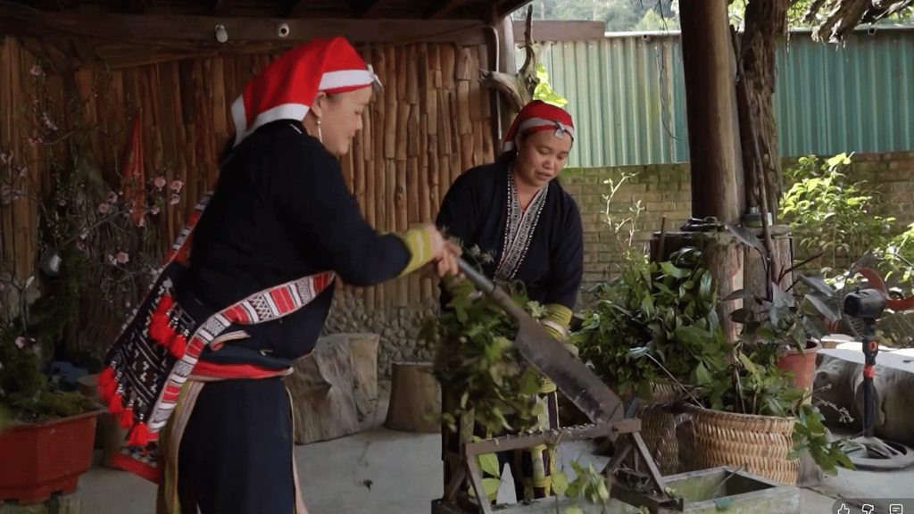 Cutting medicinal plants for traditional herbal bath