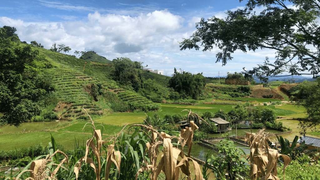 A tranquil and life-filled landscape experienced by the Hanoi Voyages team