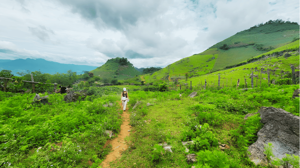 Scenic trekking path in the heart of wild and preserved nature