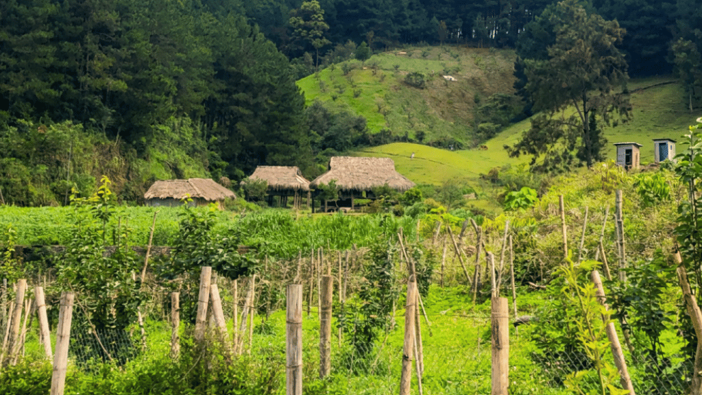 H’Mong ethnic house in the middle of pristine natural scenery