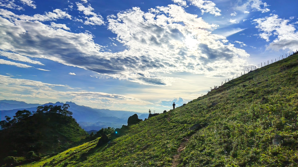 Immerse in the boundless beauty of wild and magnificent surroundings