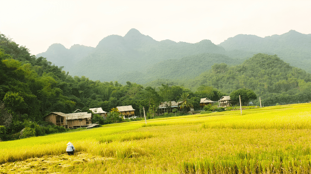 Simple lives, rich traditions in Pom Coong Village.