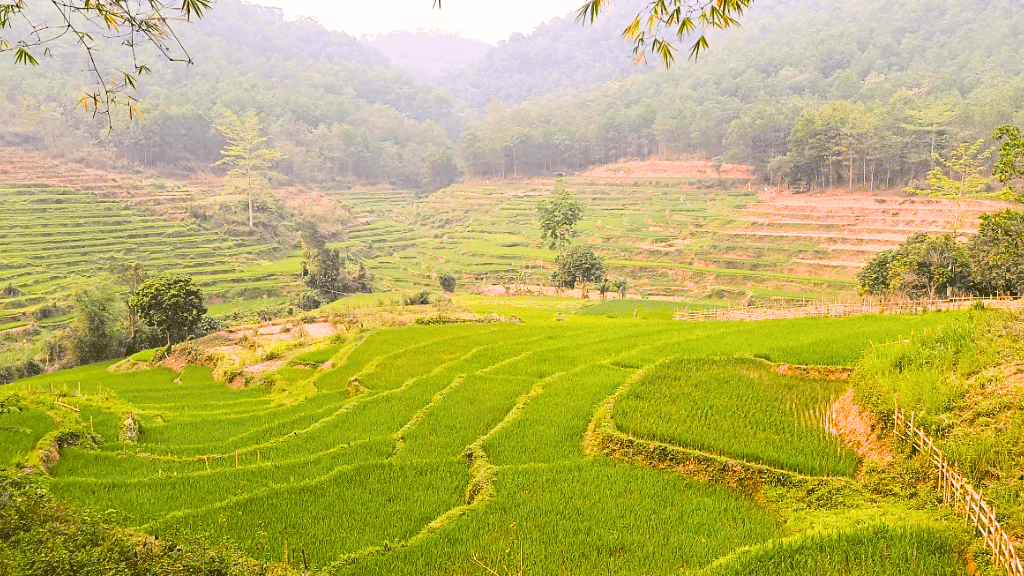 Buoc Village dressed in green – a peaceful escape into nature