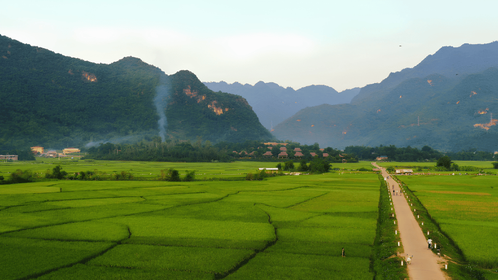 Green rice season in Ban Nhot village, Mai Chau