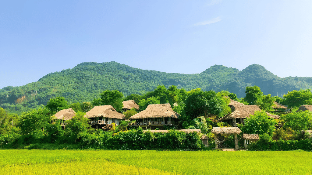 Where tradition meets tranquility in Mai Chau villages