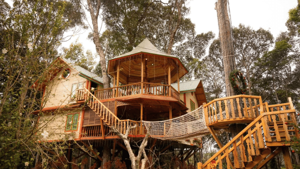 Wooden treehouses blending into the lush greenery of Mang Den