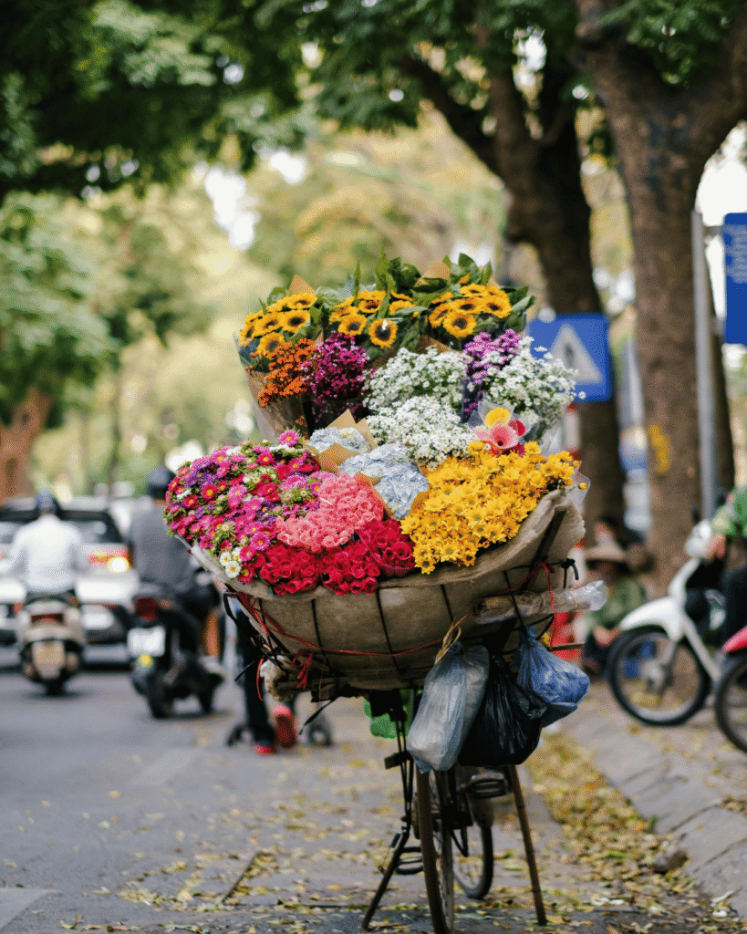 Hanoi flower vendor selling blooms from a bicycle on city streets