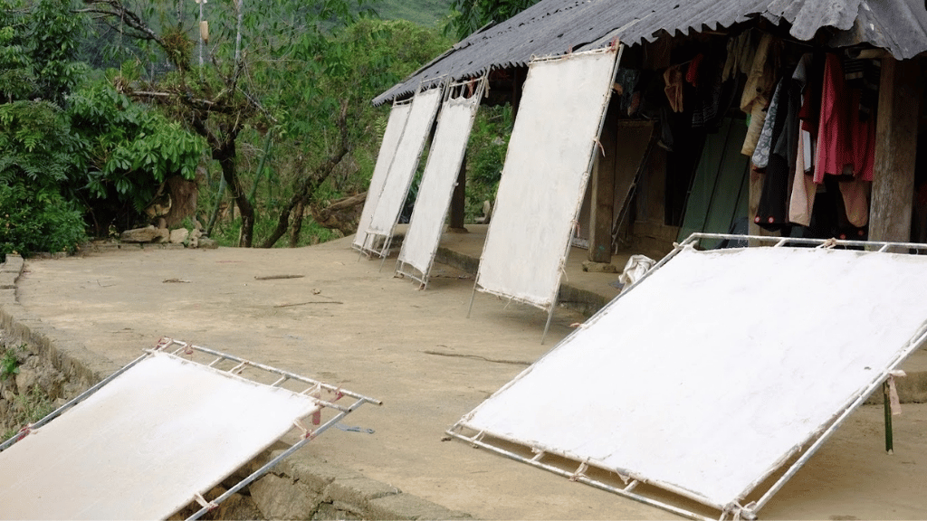 Once the pulp is evenly spread, the frame is carefully angled toward the sun to dry naturally. In strong sunlight, each sheet typically dries within three to four hours