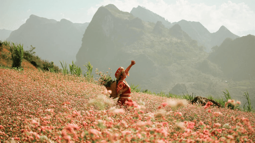 Breathtaking mountain landscapes and buckwheat flowers in Thien Huong village
