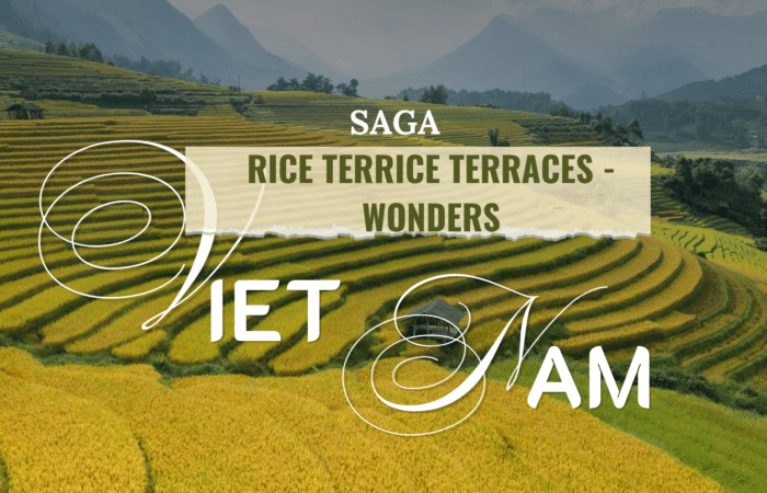 SAGA Rice Terraces - Wonders: Admiring Vietnam&rsquo;s rice terraces