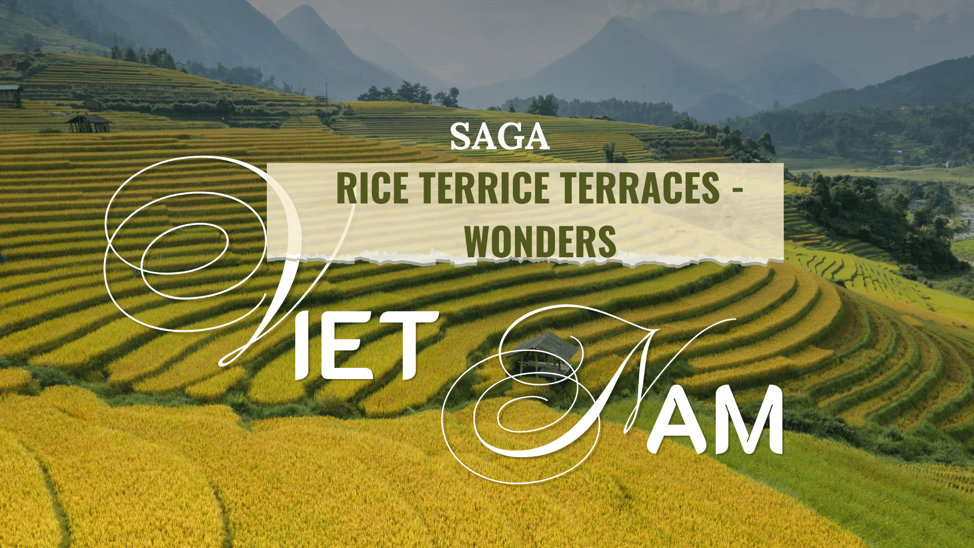 SAGA Rice Terraces - Wonders: Admiring Vietnam’s rice terraces