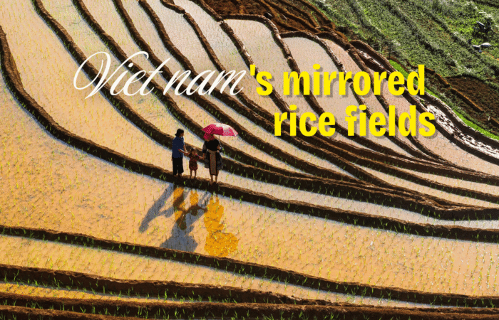 The water filling season: when Vietnam's terraced rice fields turn into mirrors
