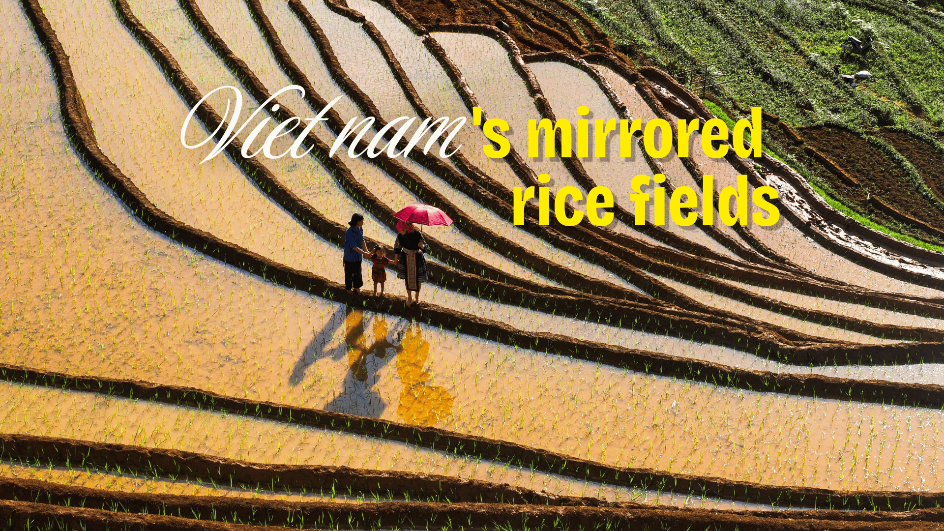 The water filling season: when Vietnam's terraced rice fields turn into mirrors