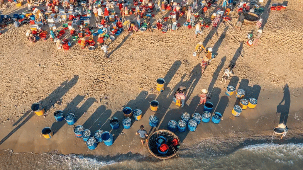 A scene from Tam Tien fish market